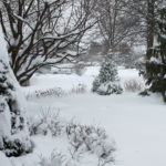 Snow First Would’ve Been Nice
