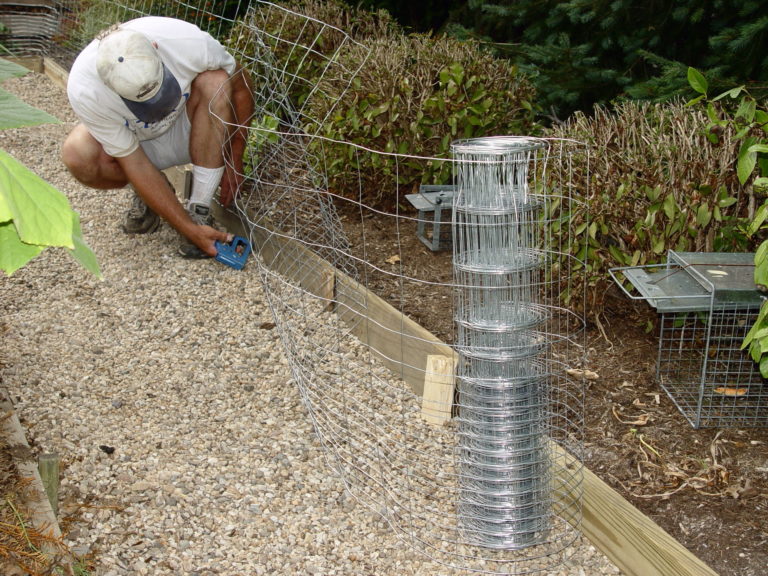 How to Keep Animals from Eating Your Harvest | Garden Housecalls