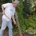 The Great Fall Leaf (Leaf Fall?) Debate