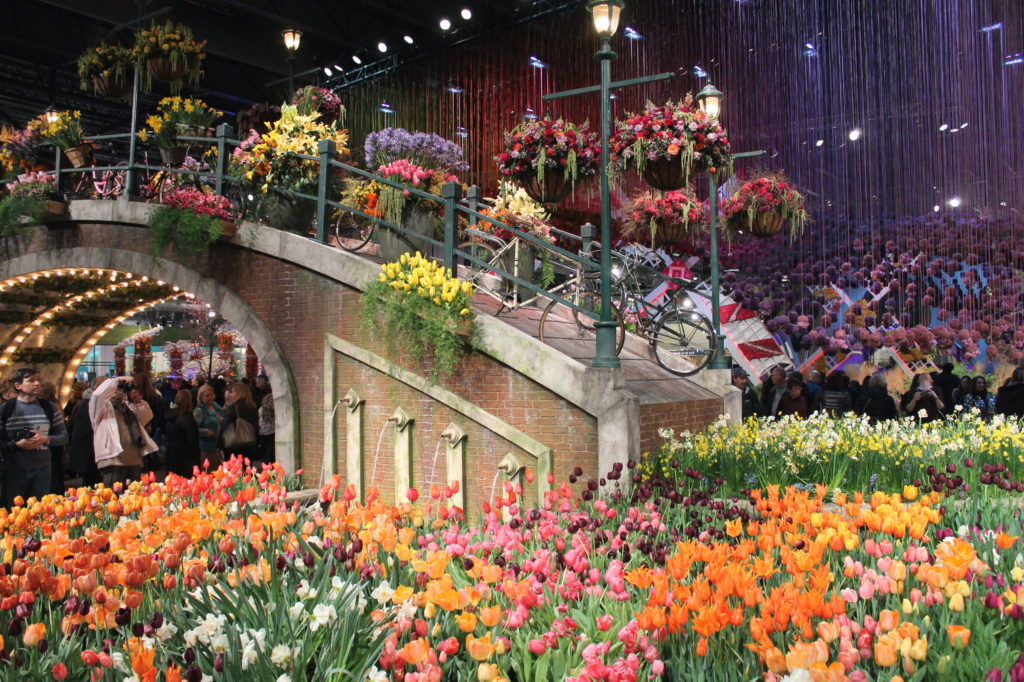 Garden Housecalls - How Do They Pull Off the Philadelphia Flower Show???