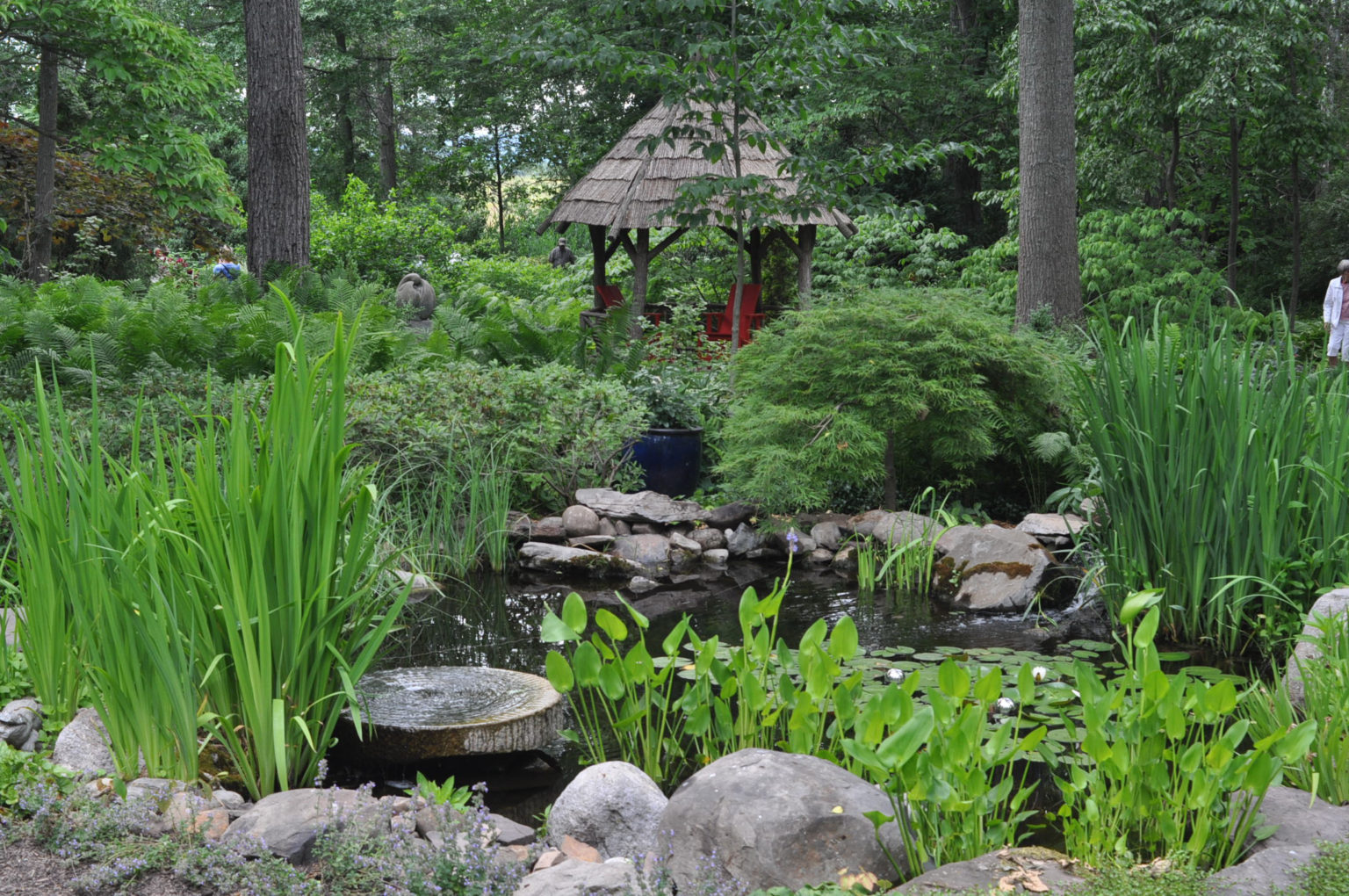 Four of Our Best Home Gardens Garden Housecalls