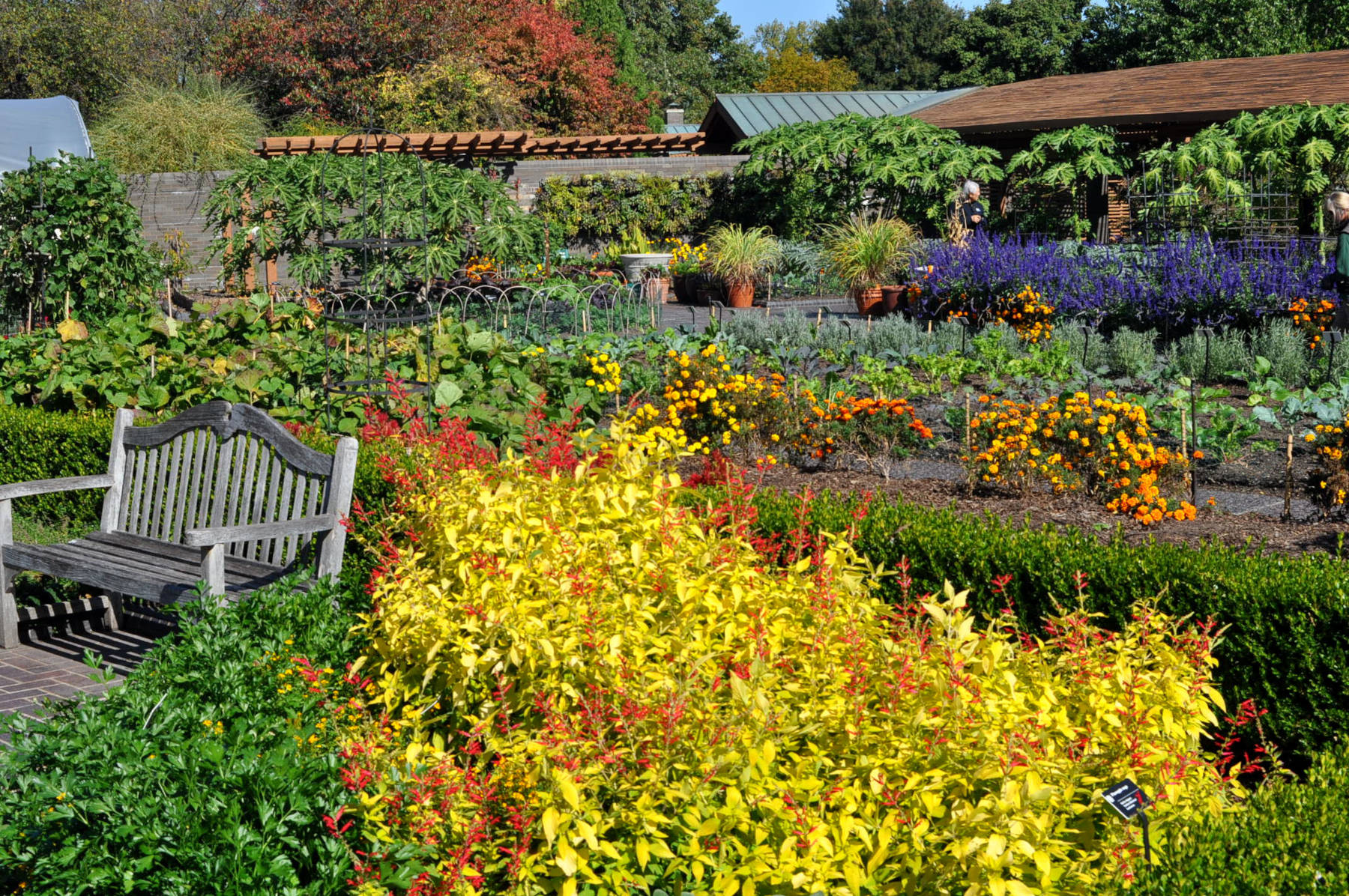 Midwest Gardens to Put on Your Radar | Garden Housecalls