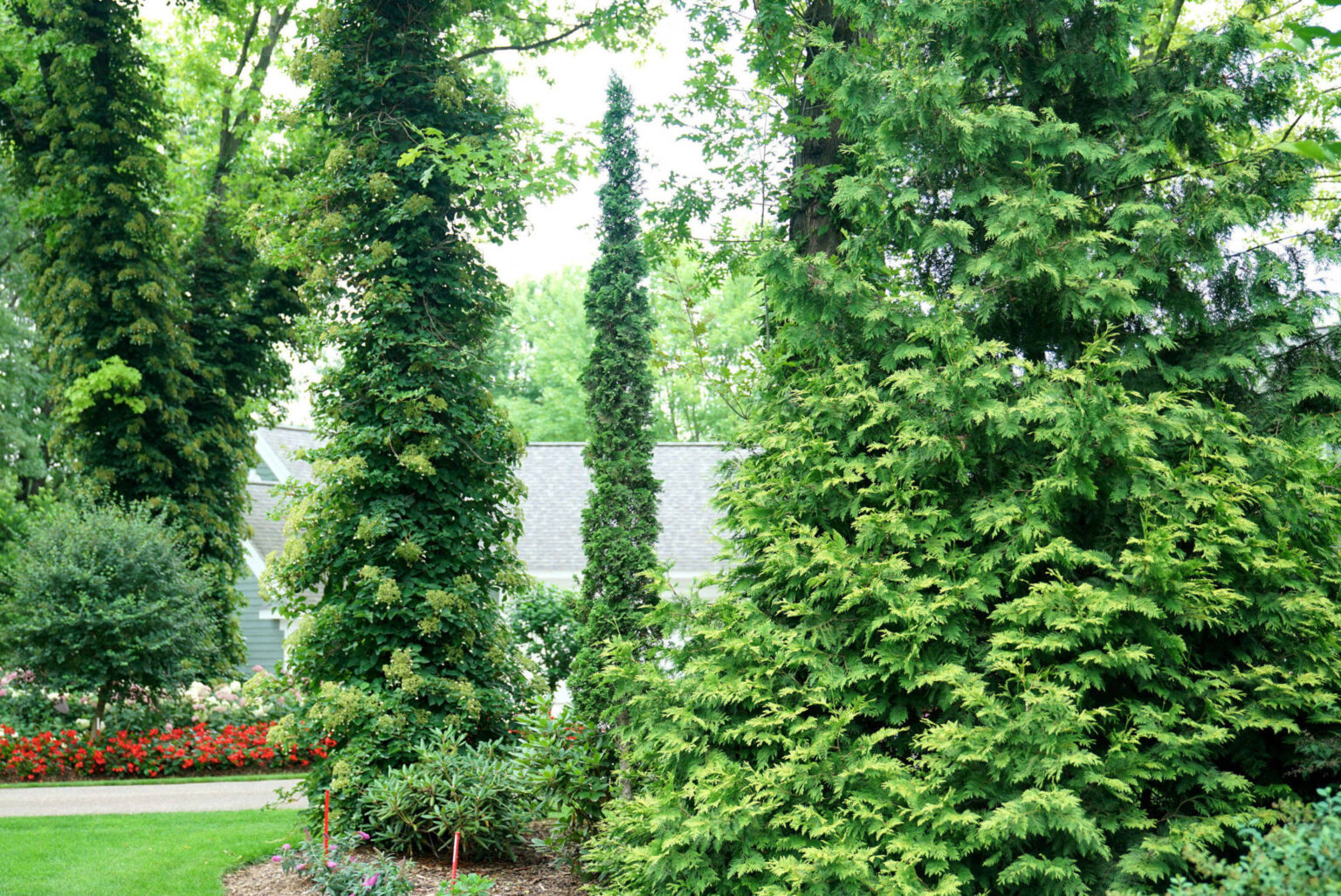 The Best New Trees and Shrubs of 2023 | Garden Housecalls